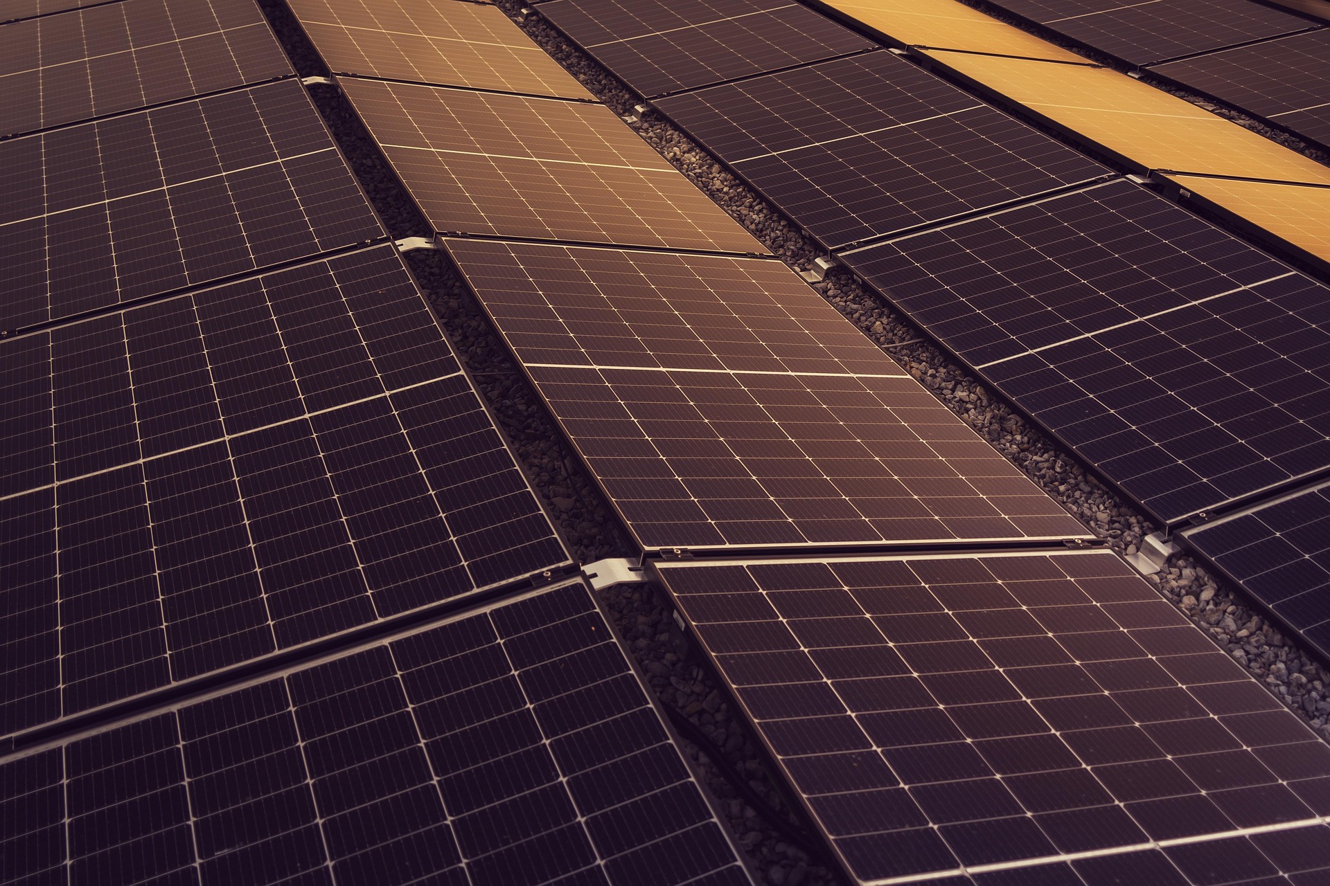 Campo de paneles solares visto en picado con reflejos dorados